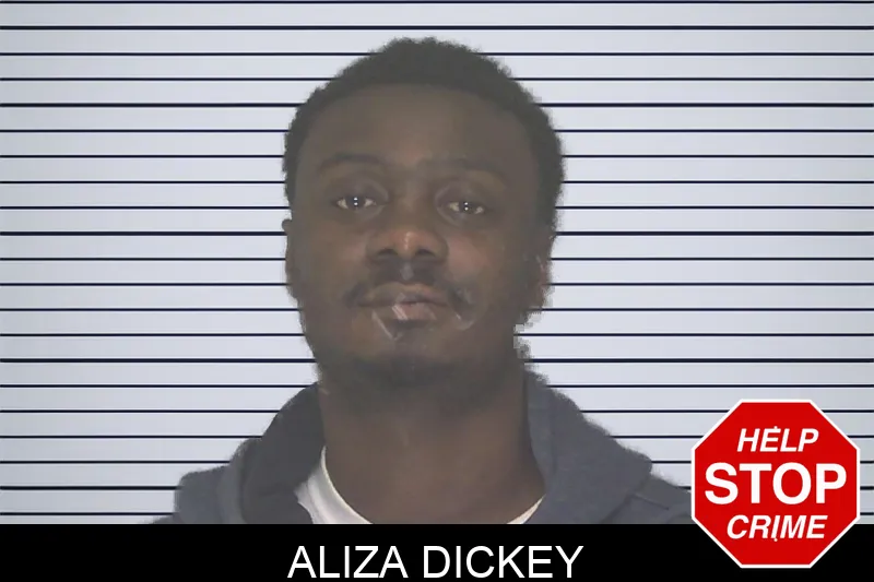 Aliza Dickey Mugshots
