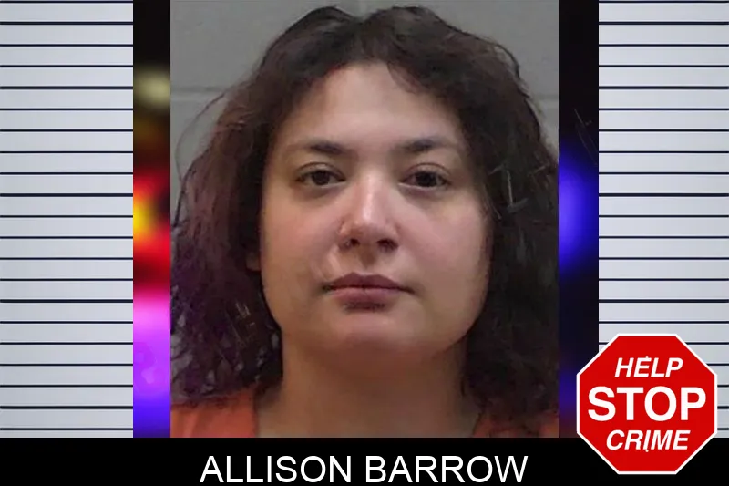 Allison Barrow Mugshots
