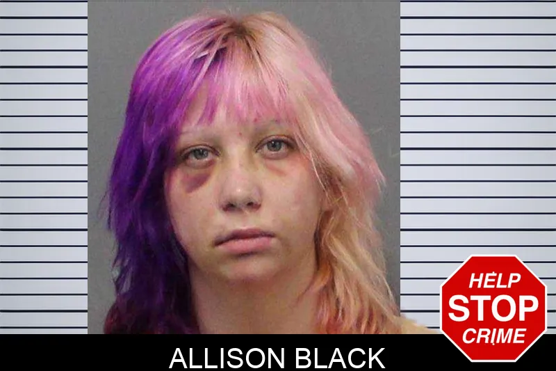 Allison Black Mugshots