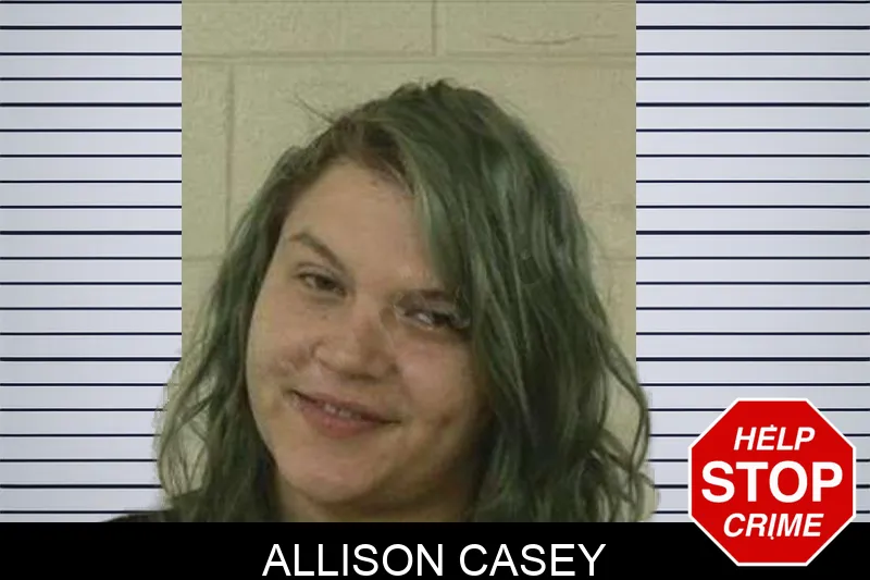 Allison Casey Mugshots