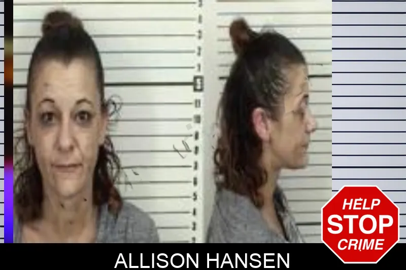 Allison Hansen Mugshots