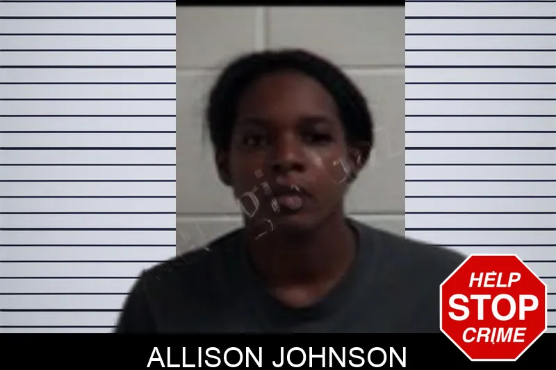 Allison Johnson Mugshots