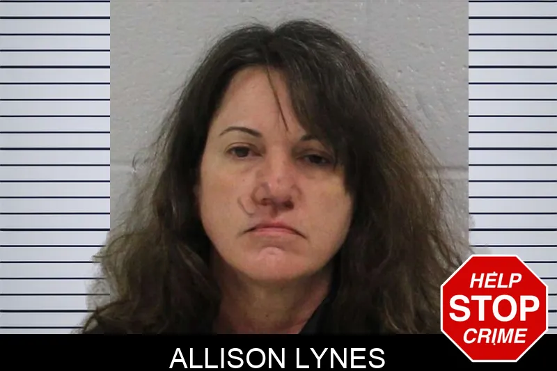 Allison Lynes Mugshots