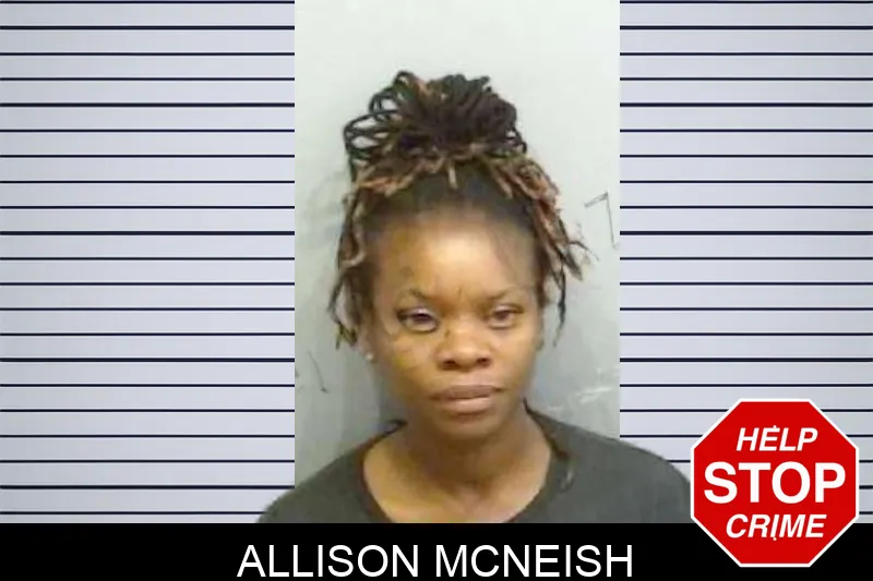 Allison McNeish mugshot