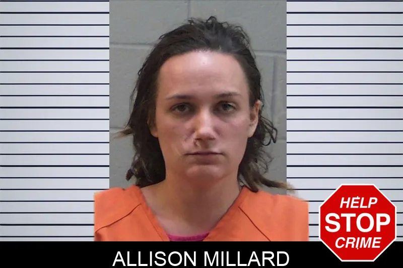 Allison Millard