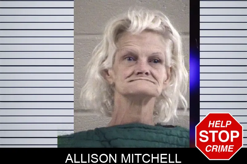 Allison Mitchell Mugshots