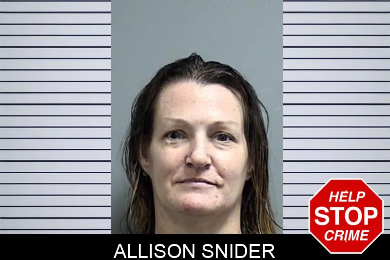 Allison Snider Mugshots