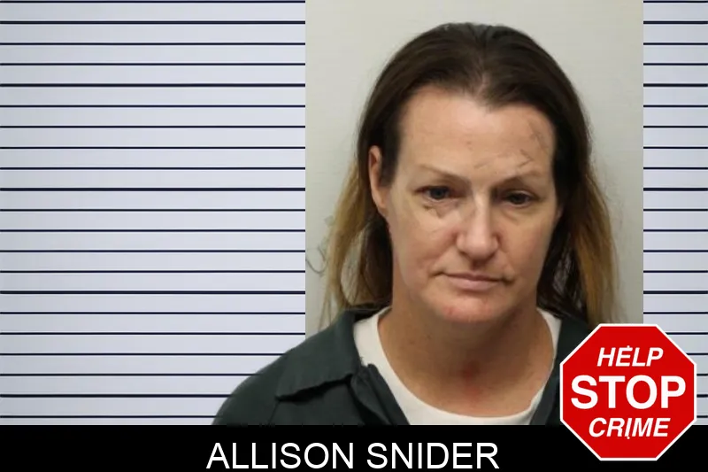 Allison Snider Mugshots