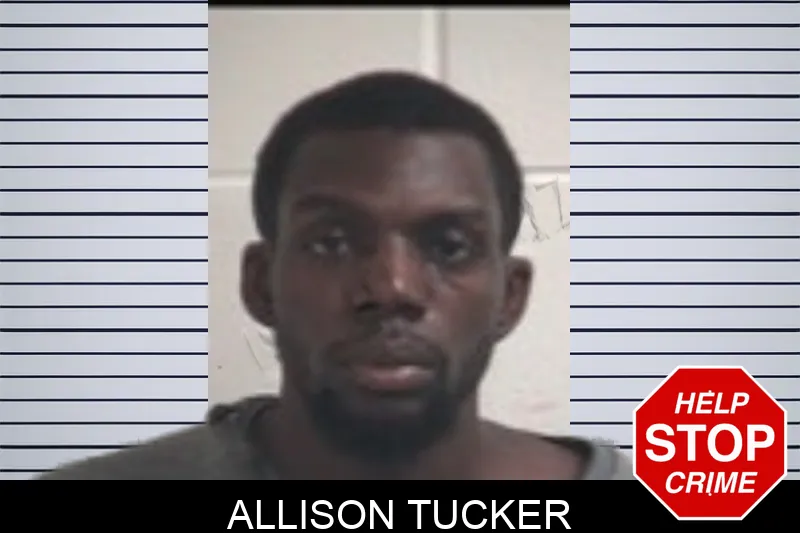 Allison Tucker Mugshots