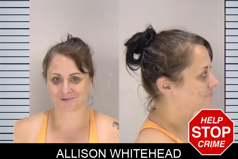 Allison Whitehead Mugshots