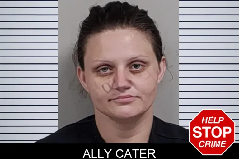Ally Cater mugshot – Lowndes County , Georgia Ally Cater