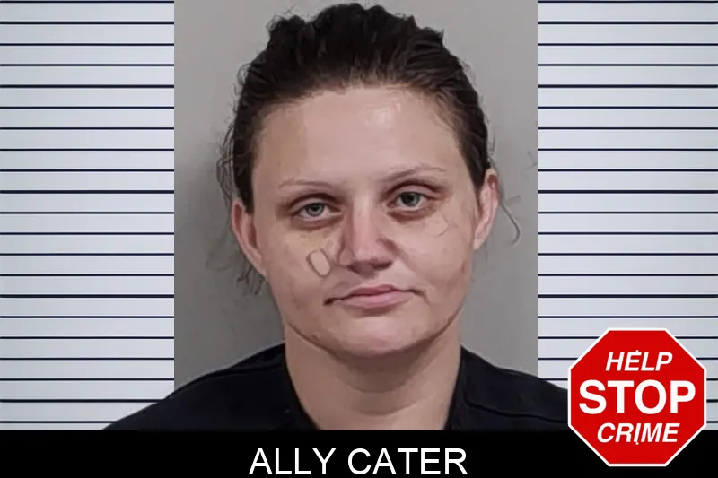 Ally Cater Mugshots