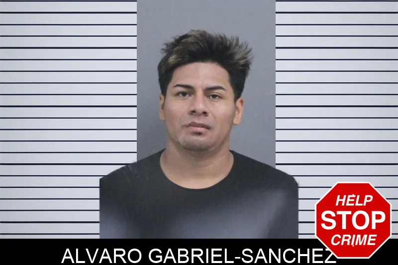 Alvaro Gabriel-Sanchez Mugshots