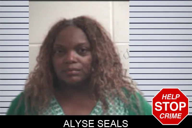 Alyse Seals Mugshots