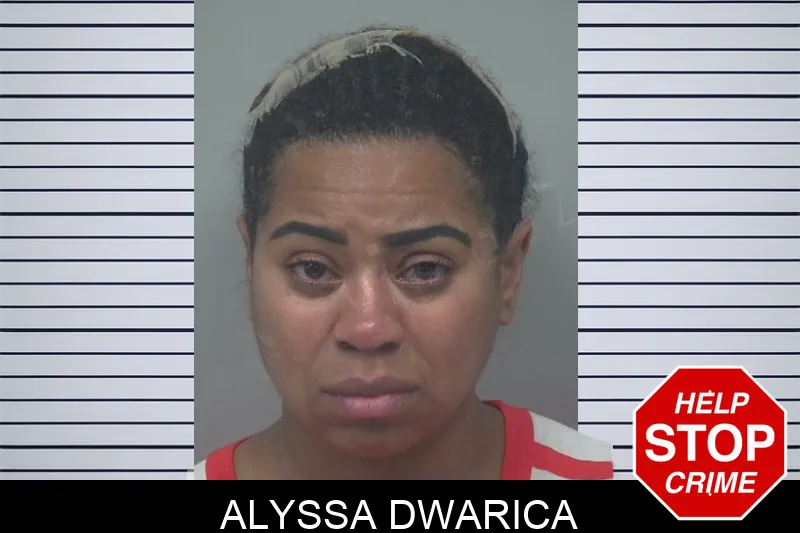 Alyssa Dwarica Mugshots