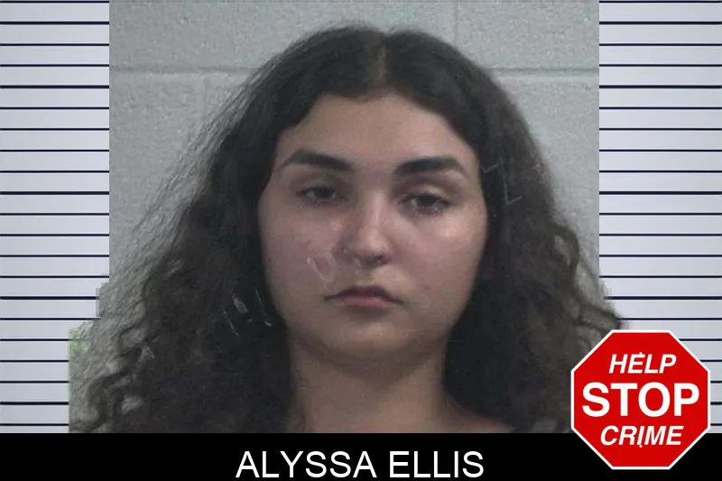 Alyssa Ellis Mugshots