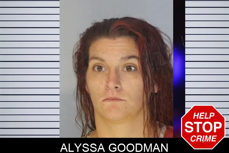 Alyssa Goodman Mugshots