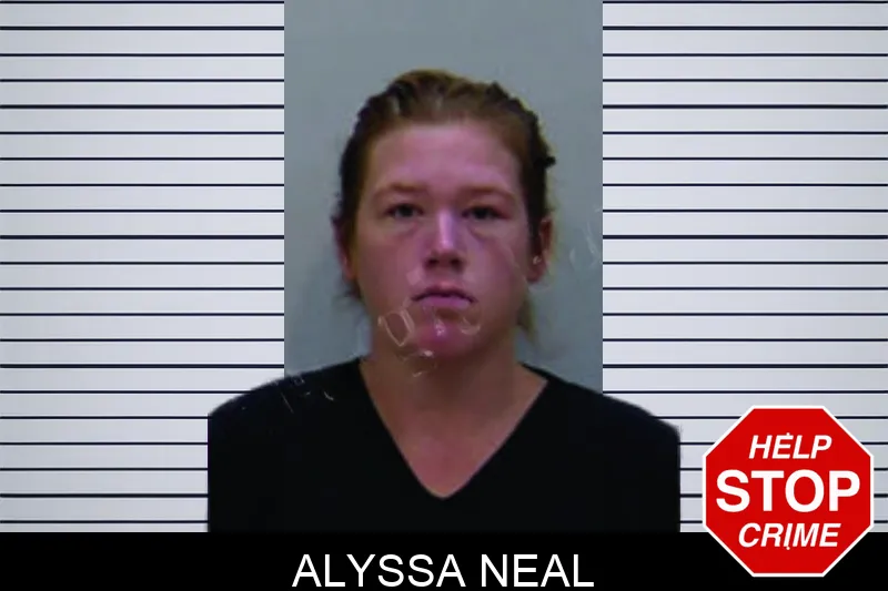 Alyssa Neal mugshot – Bartow County , Georgia Alyssa Neal mugshot