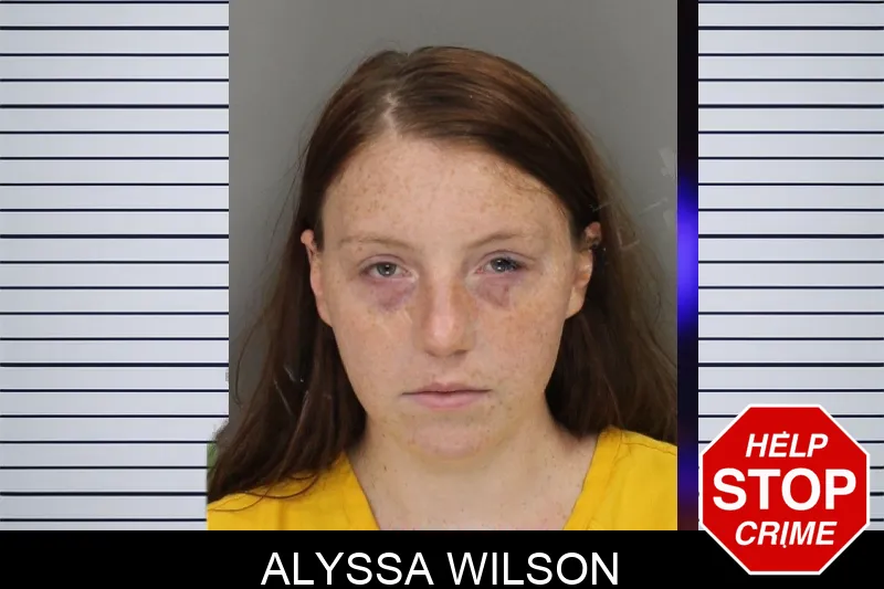 Alyssa Wilson mugshot