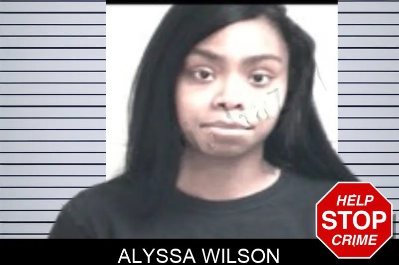 Alyssa Wilson Mugshots