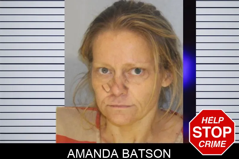 Amanda Batson mugshot – Hall County , Georgia Amanda Batson mugshot