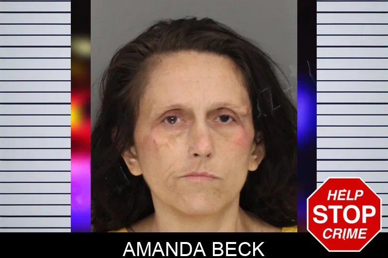 Amanda Beck mugshot