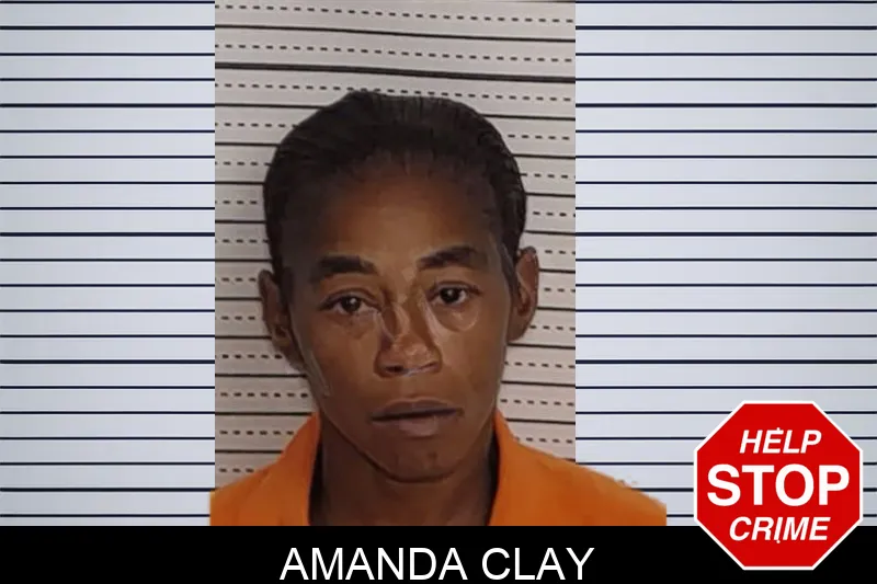 Amanda Clay Mugshots