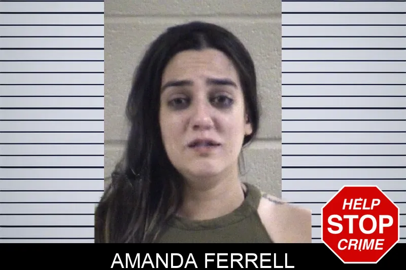 Amanda Ferrell mugshot