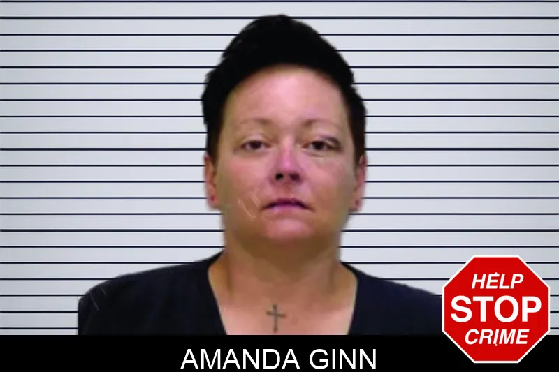 Amanda Ginn Mugshots