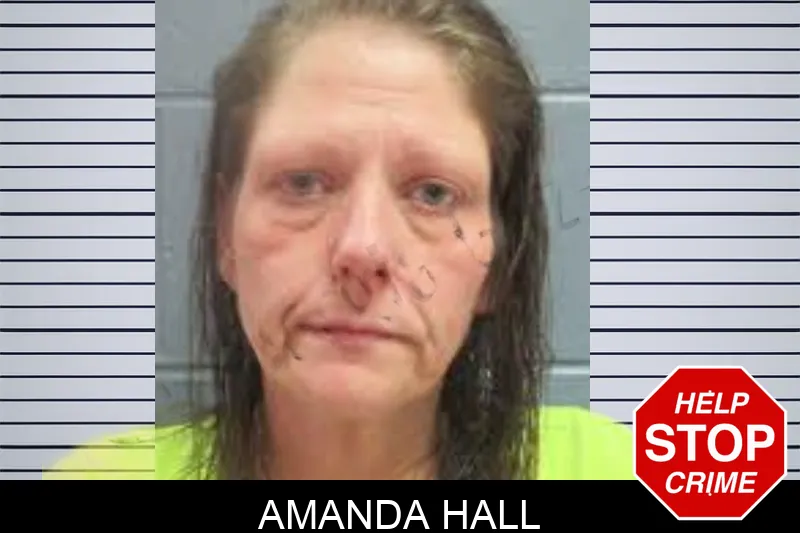 Amanda Hall Mugshots