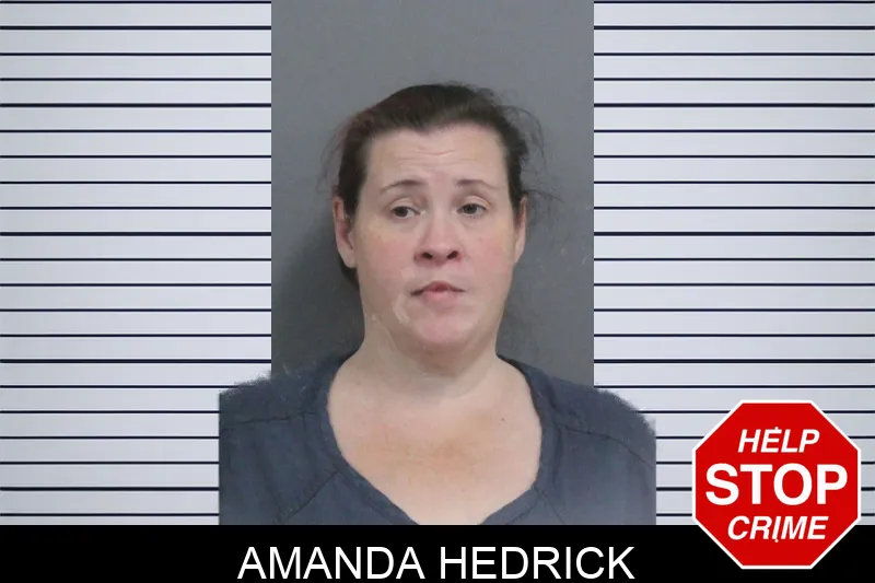 Amanda Hedrick mugshot – Catoosa County , Georgia Amanda Hedrick mugshot