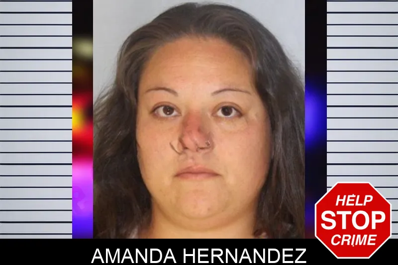 Amanda Hernandez mugshot
