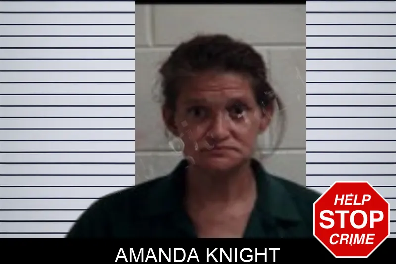 Amanda Knight Mugshots