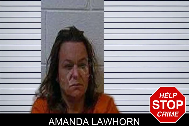 Amanda Lawhorn Mugshots