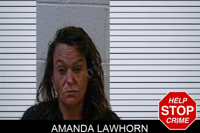 Amanda Lawhorn mugshot – Polk County , Georgia Amanda Lawhorn