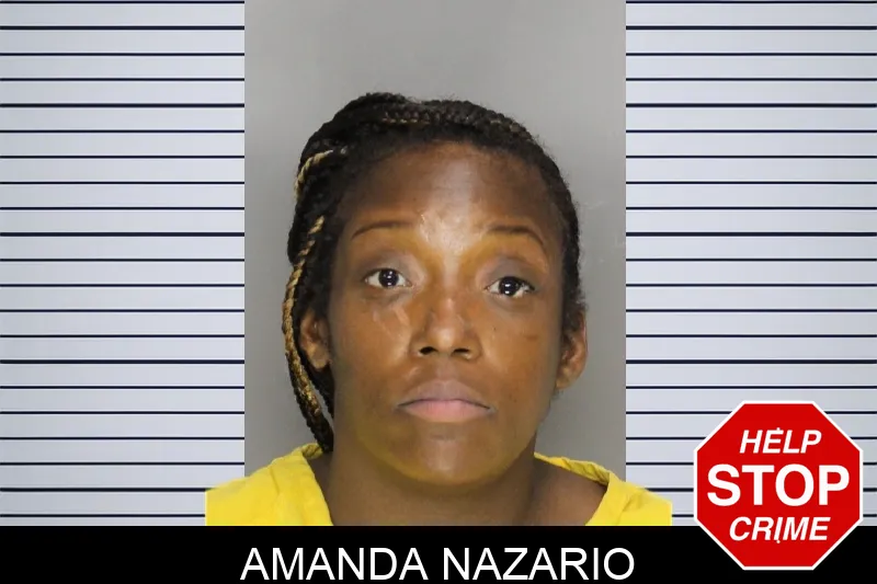 Amanda Nazario Mugshots