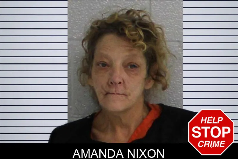 Amanda Nixon mugshot – Carroll County , Georgia Amanda Nixon mugshot