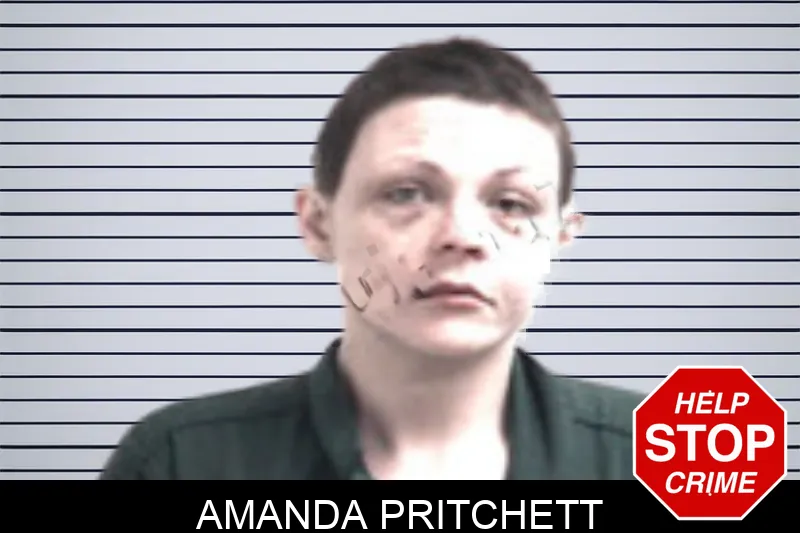 Amanda Pritchett Mugshots