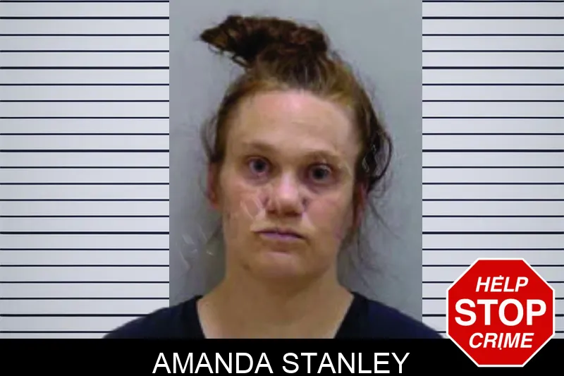 Amanda Stanley mugshot – Bartow County , Georgia Amanda Stanley mugshot