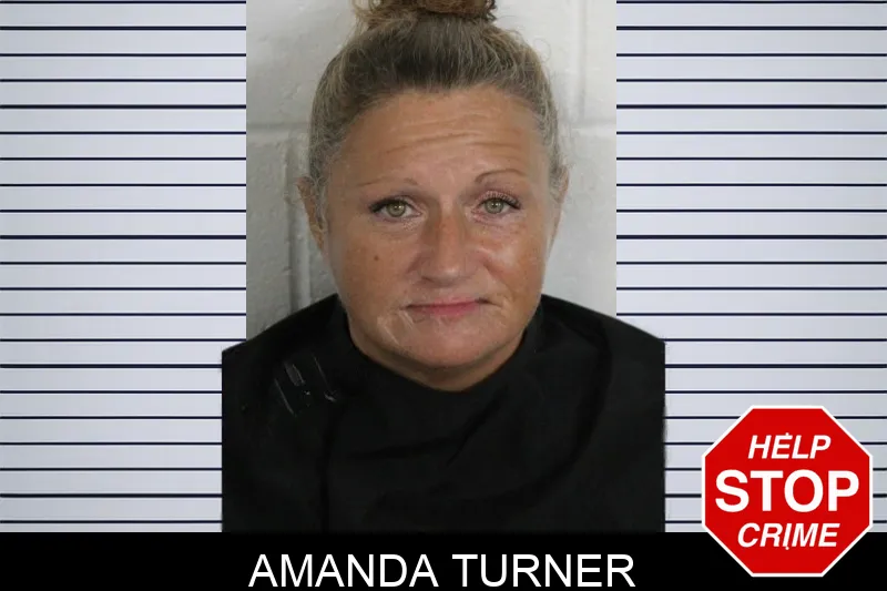 Amanda Turner Mugshots
