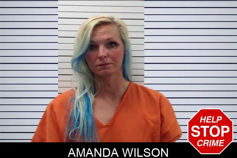Amanda Wilson Mugshots
