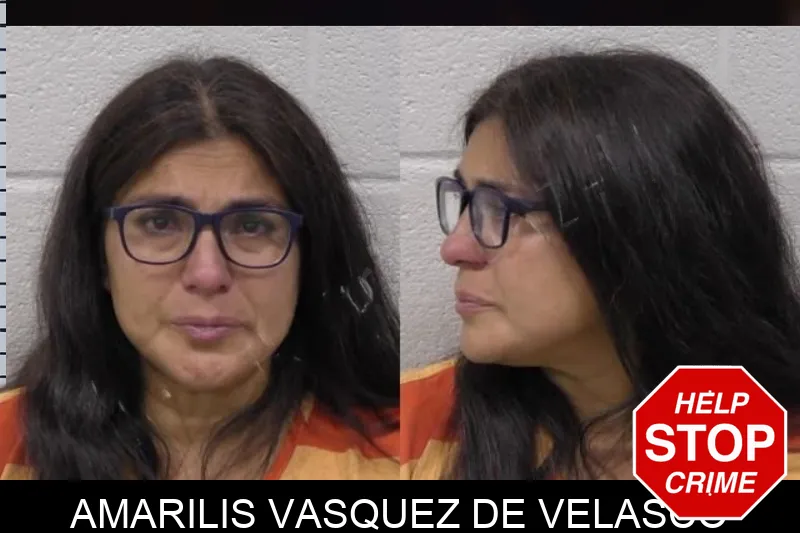 Amarilis Vasquez De Velasco mugshot