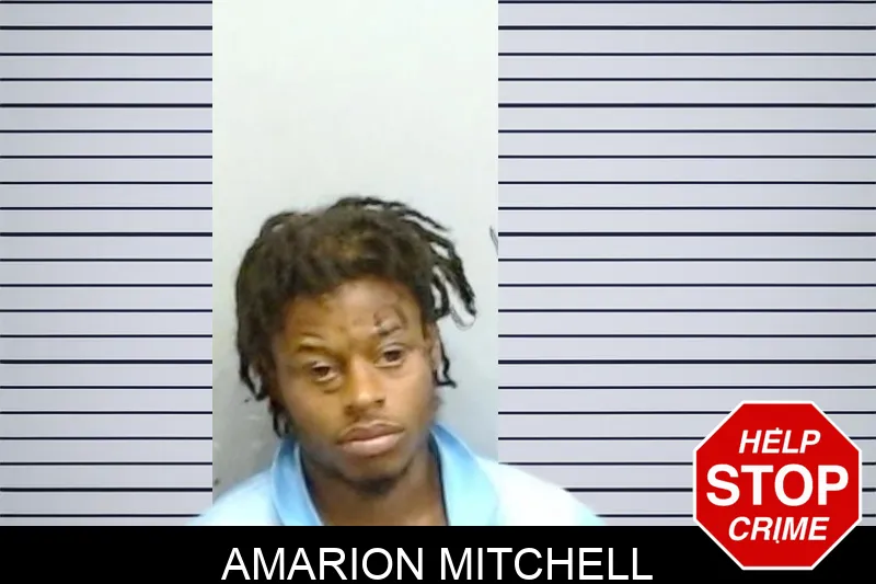 Amarion Mitchell Mugshots