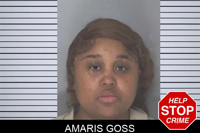Amaris Goss Mugshots