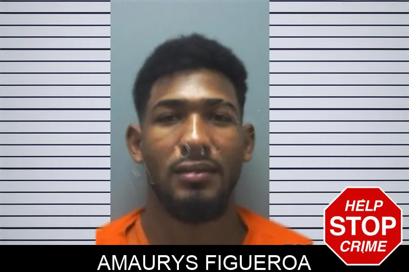 Amaurys Figueroa Mugshots