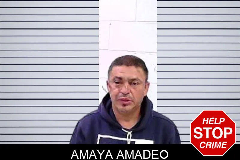 Amaya Amadeo mugshot