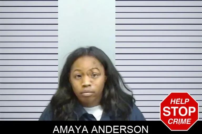 Amaya Anderson mugshot – Fulton County , Georgia Amaya Anderson