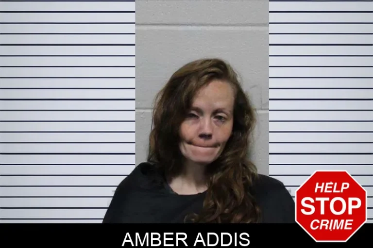 Amber Addis mugshot – Habersham County , Georgia Amber Addis
