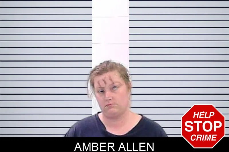 Amber Allen Mugshots