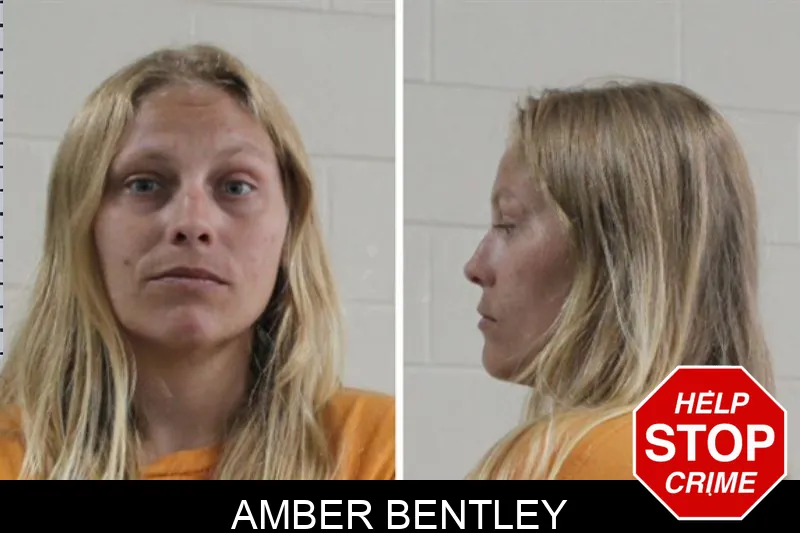 Amber Bentley Mugshots
